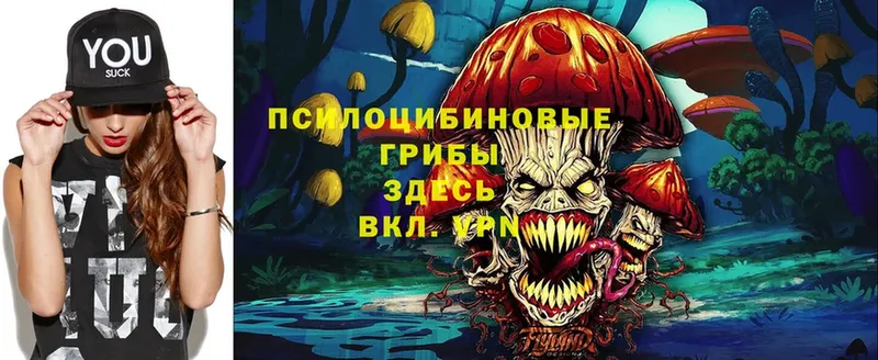 omg   Завитинск  Псилоцибиновые грибы Magic Shrooms 